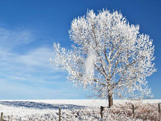 Financially Speaking Winter 2020